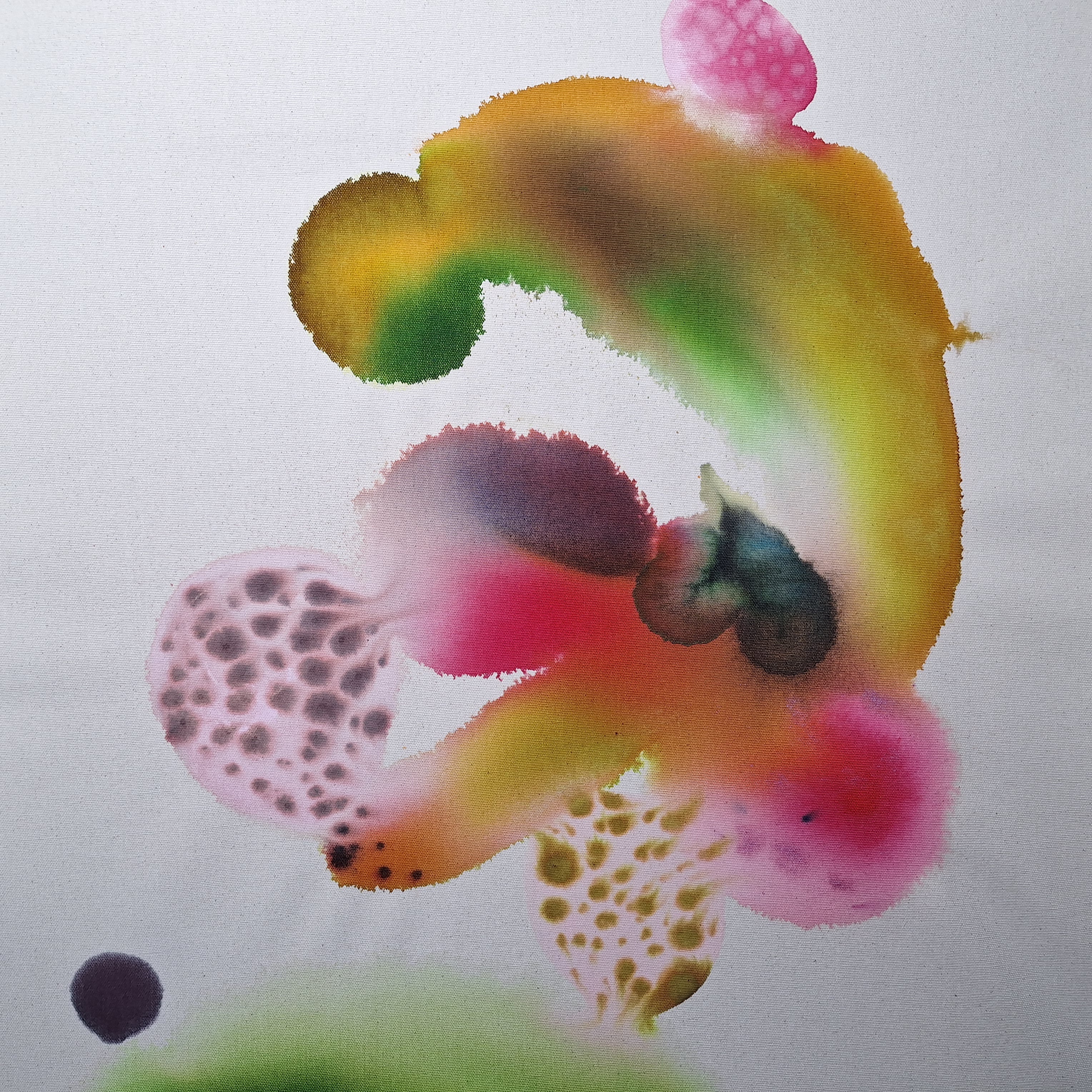 Et si la forêt m'était contée...