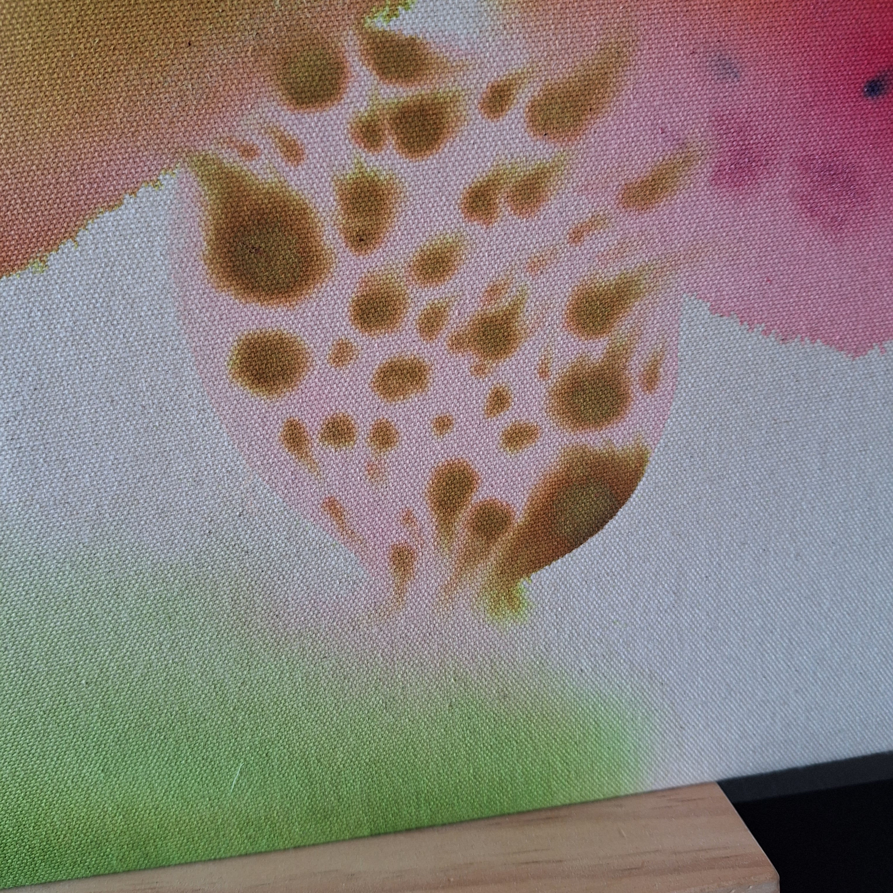 Et si la forêt m'était contée...