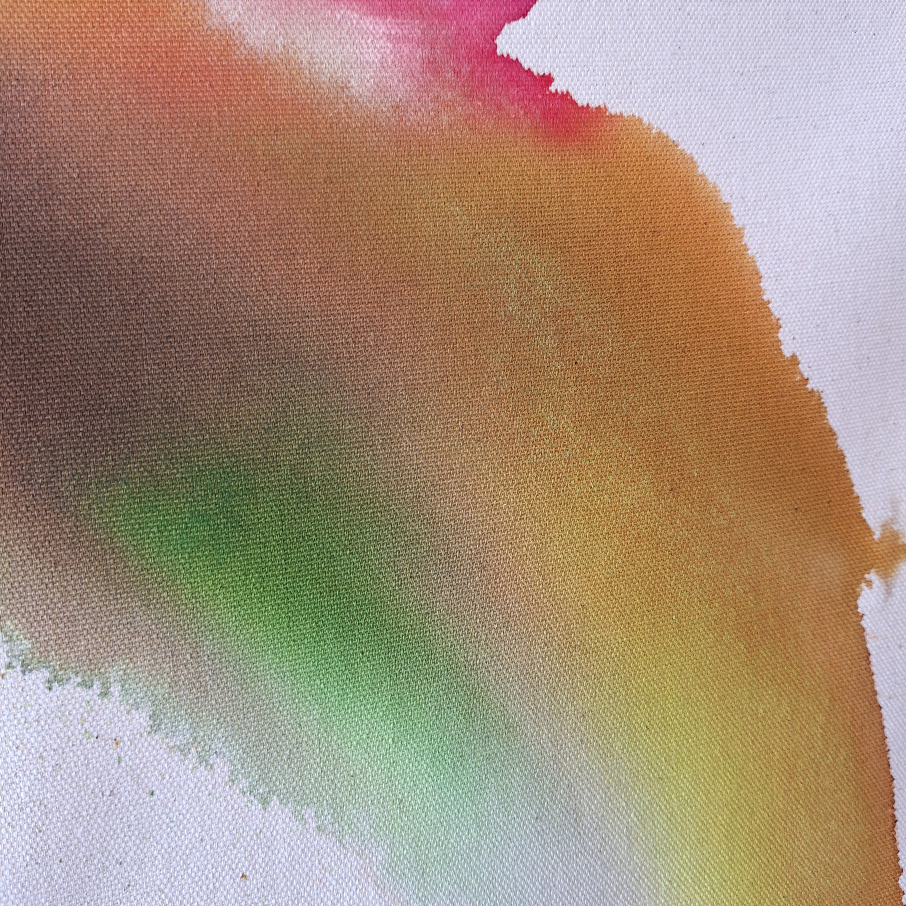 Et si la forêt m'était contée...