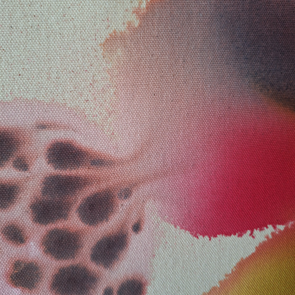 Et si la forêt m'était contée...