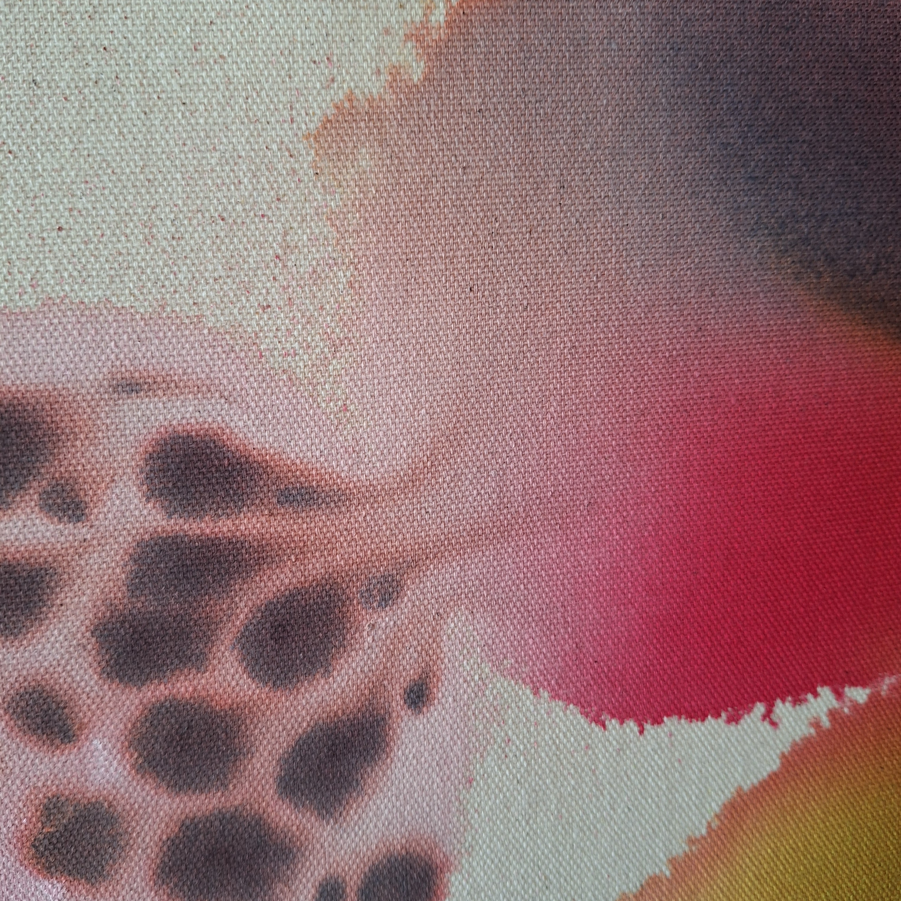 Et si la forêt m'était contée...