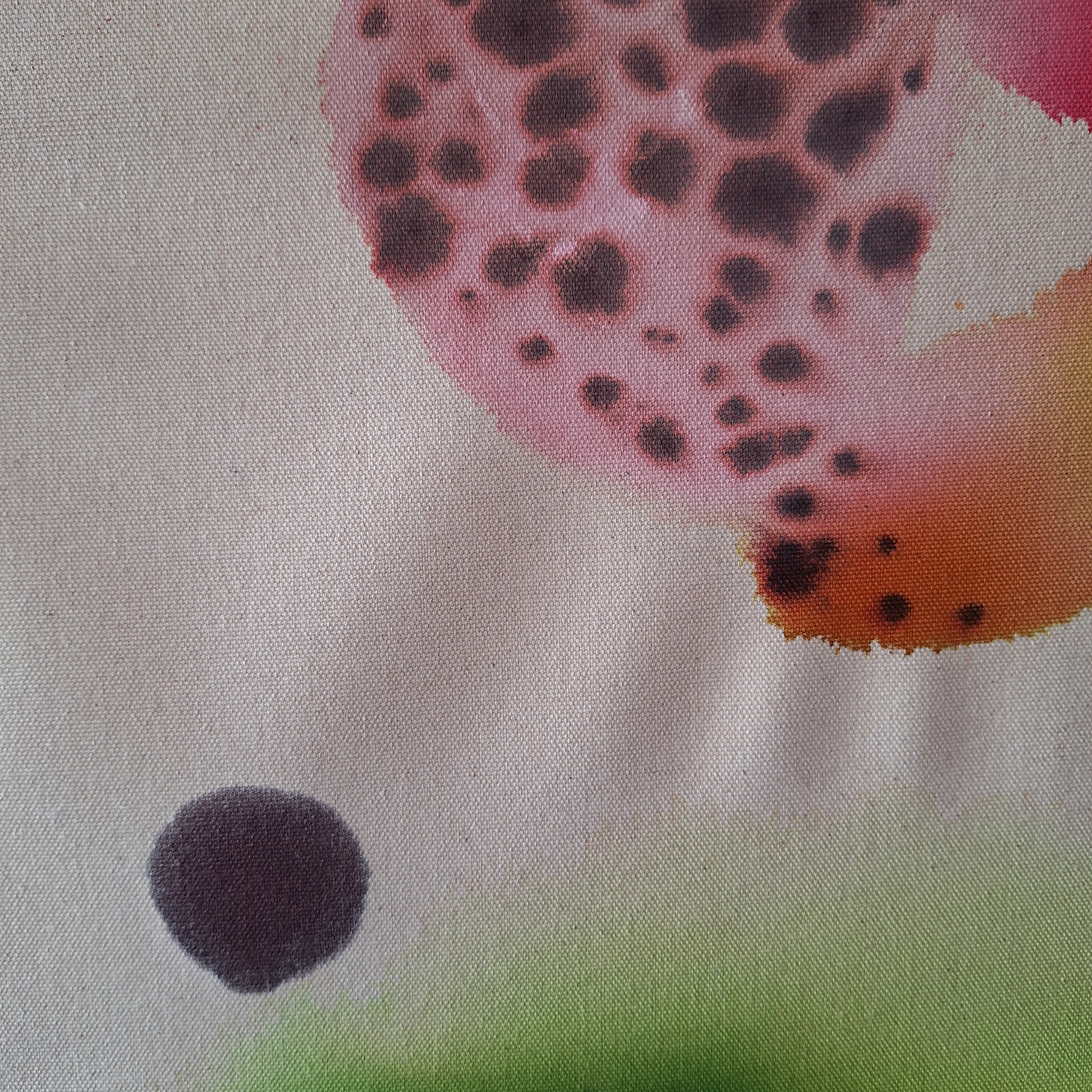 Et si la forêt m'était contée...