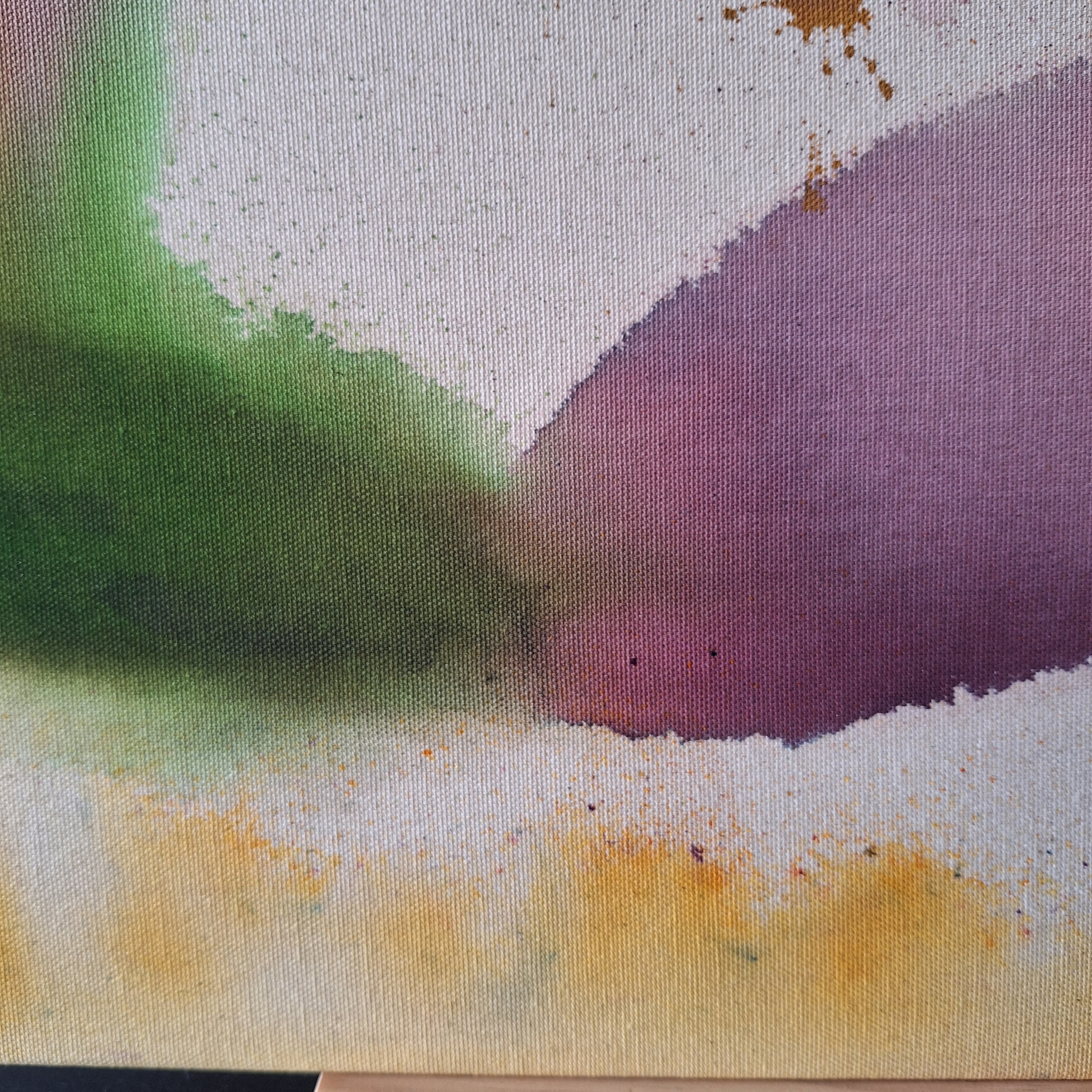 Et si la nature dansait après la pluie...