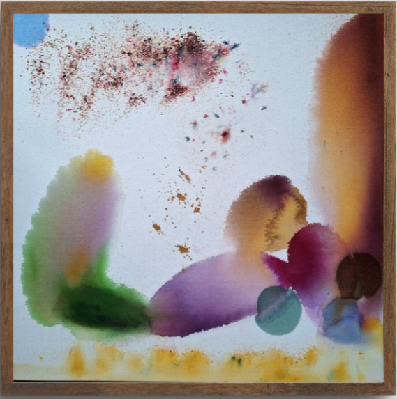 Et si la nature dansait après la pluie...