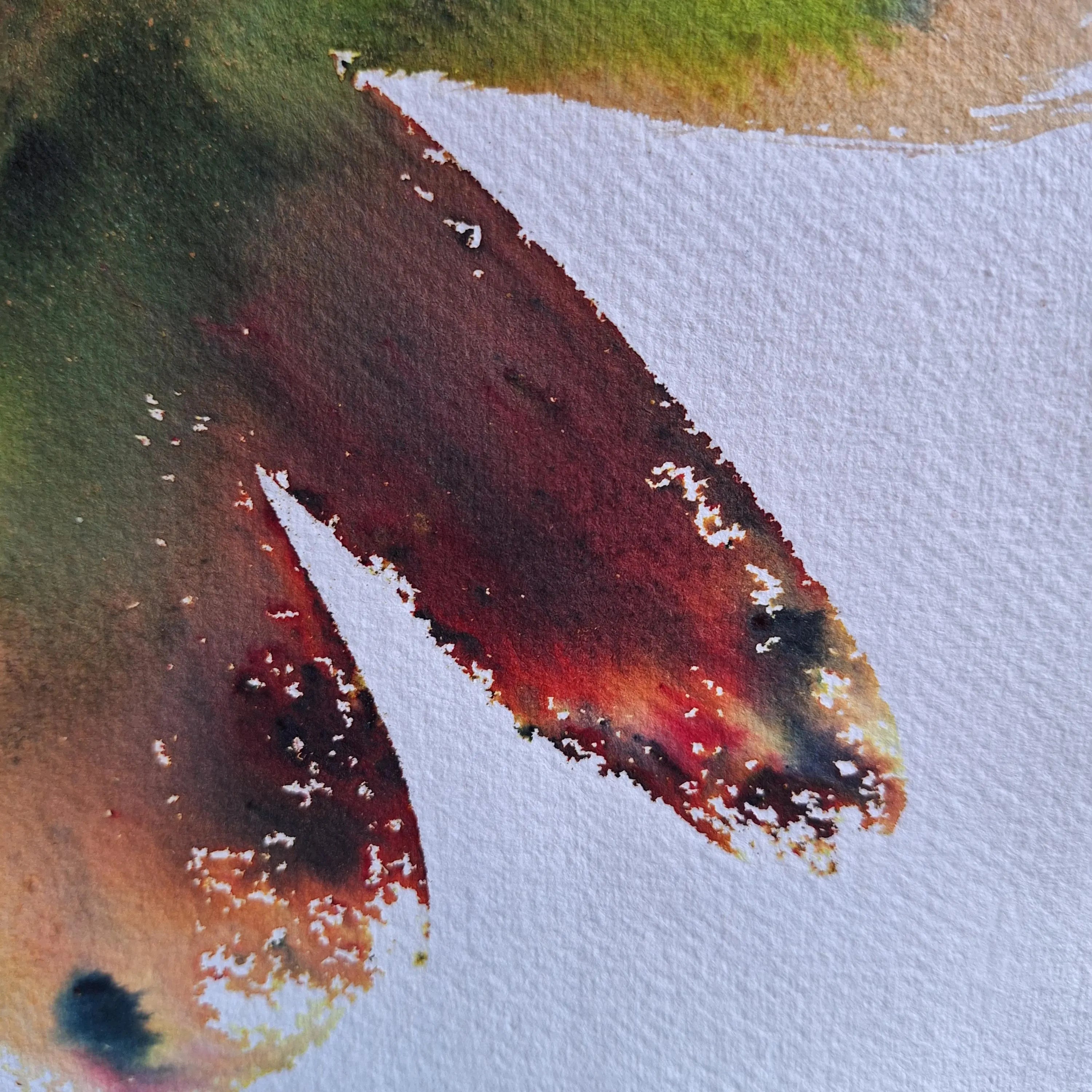 Rire de pétales #7 - Rouge, vert et jaune