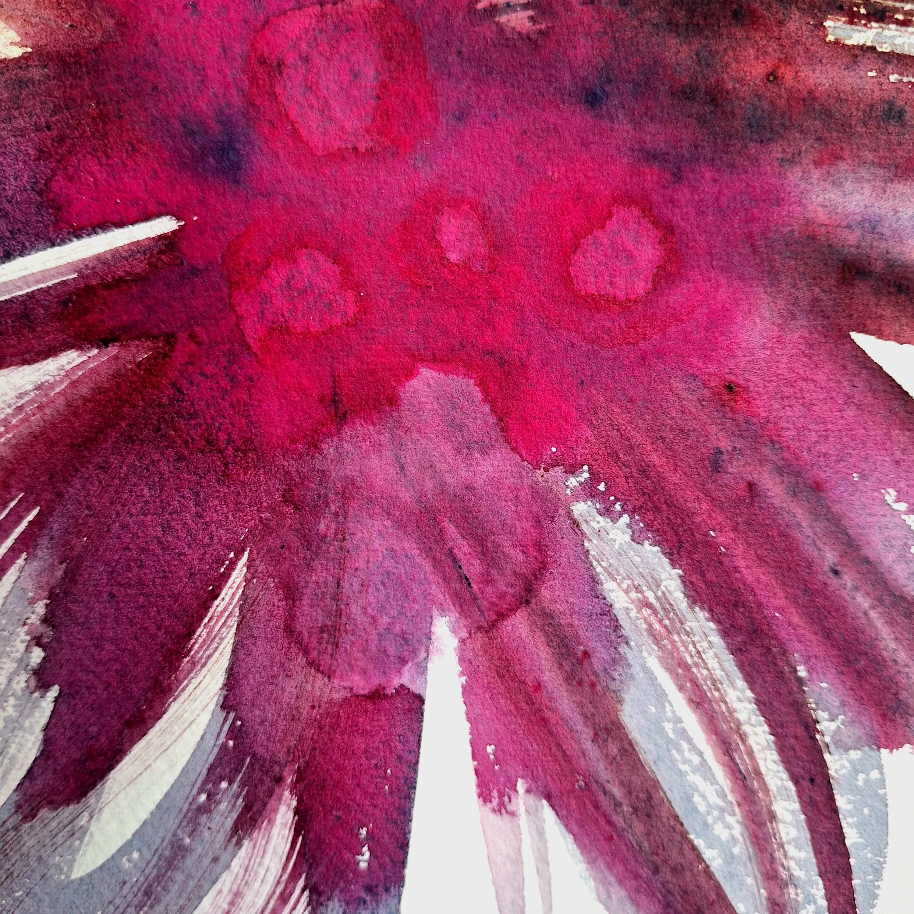 Rire de pétales #3 - Bordeaux, rose.