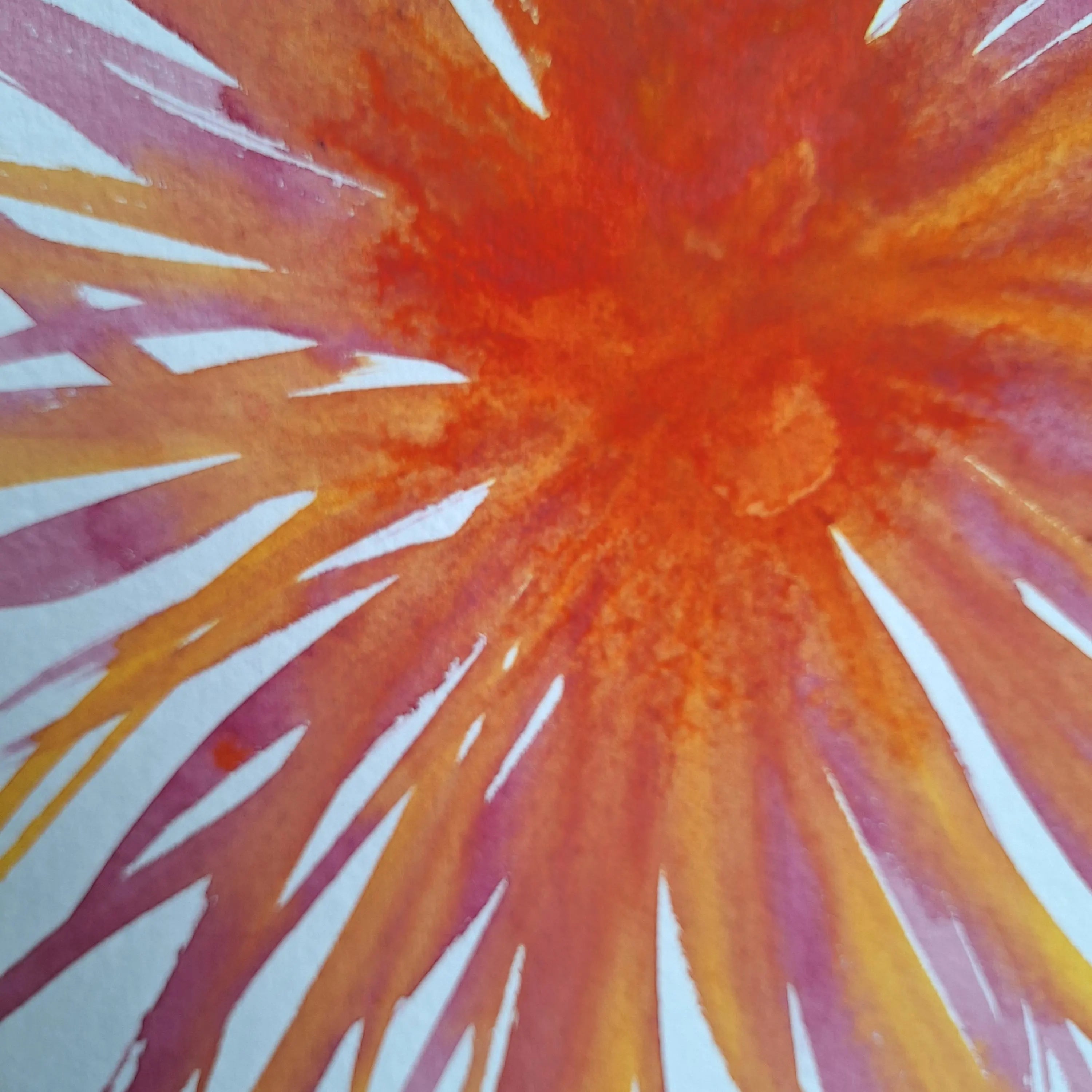 Rire de pétales #5 - Orange , rouge et violet